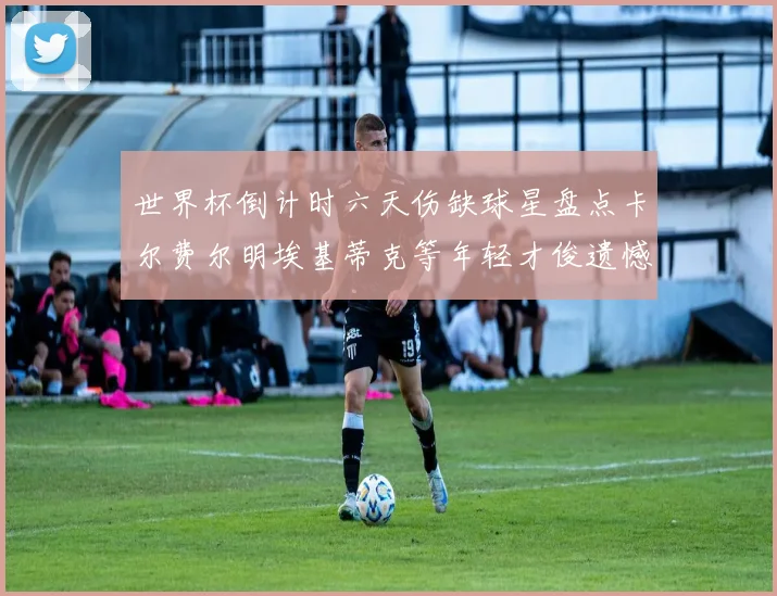 世界杯倒计时六天伤缺球星盘点卡尔费尔明埃基蒂克等年轻才俊遗憾缺席